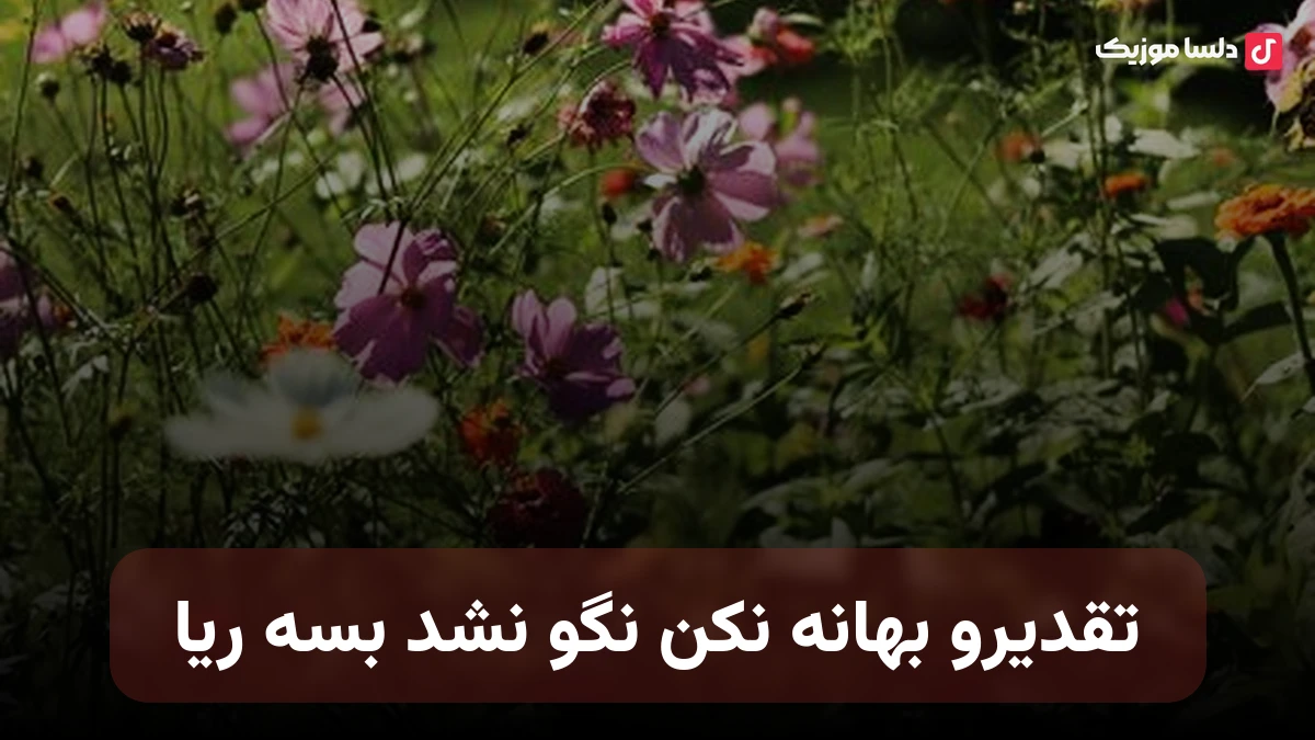 تقدیرو بهانه نکن نگو نشد بسه ریا صدای زن